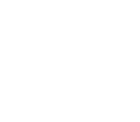 Bridger Brewing